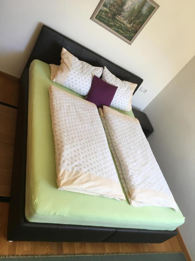 Apartment Kaprun นีเดิร์นซิลล์ ภายนอก รูปภาพ